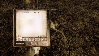 Elder Scrolls IV  Oblivion issue