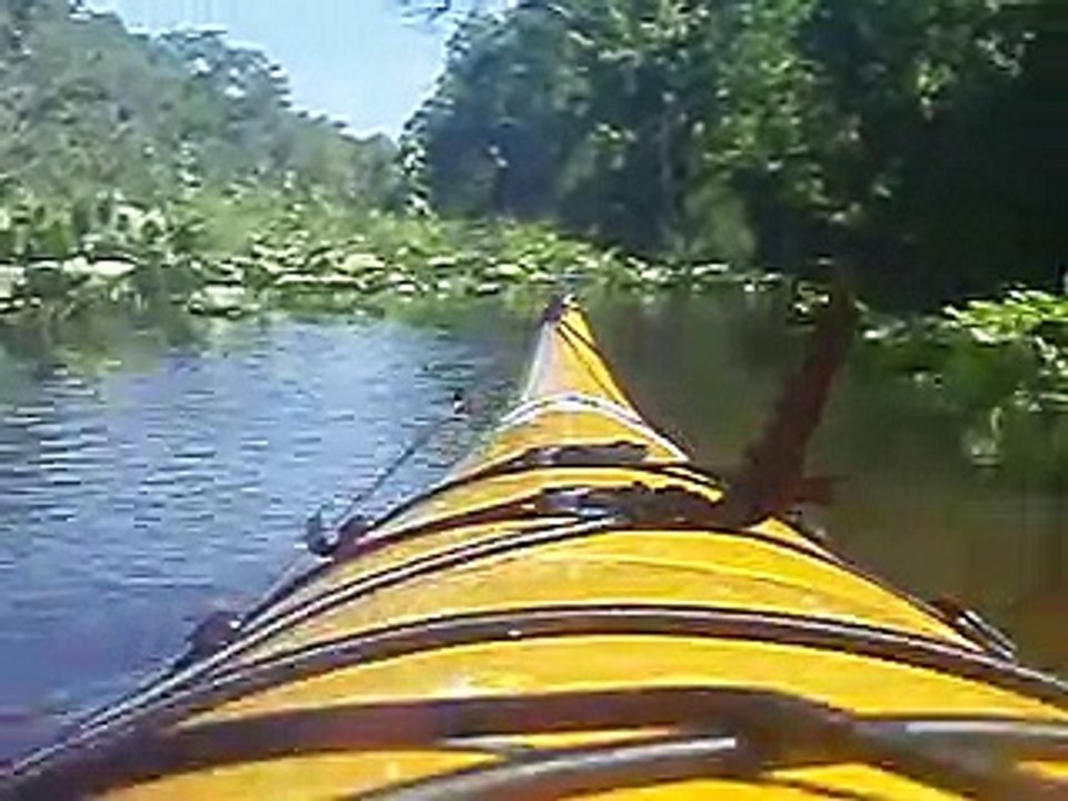 4 26 09 wekiwa springs