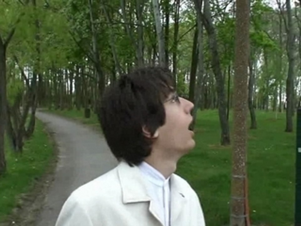 vis ma vie de pollard