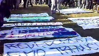 Manifestazione 24 ottobre 2008, striscioni..