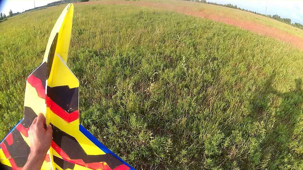 raptor f 22 ,gatciems/depron /