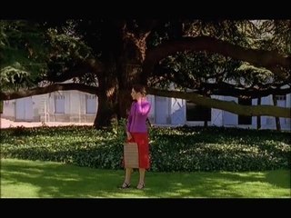 La Défaite du rouge-gorge (inspiré de L’Agrume)