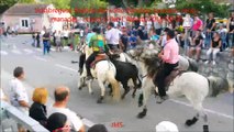 Vallabregues-Festival Abrivado-Bandido-taureaux neufs-Lescot-Gillet-L'Amista-fete votive-2016/06/20