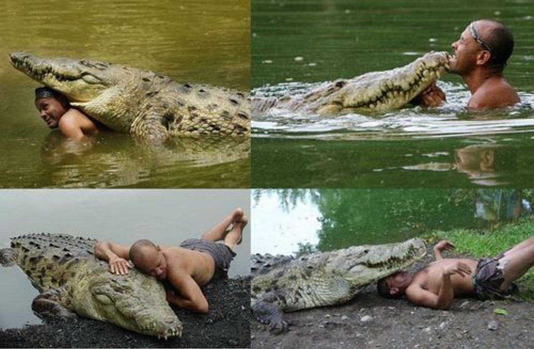 The Man Who Swims With Crocodiles