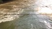 Surfer une rivière en crue en suisse, accroché à un pont