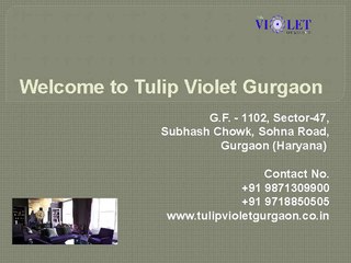 Tulip Violet 2BHK Resale Gurgaon