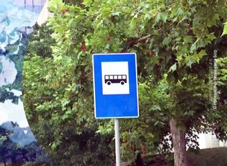 Vesti na vlaškom jeziku, 20. jun 2016. (RTV Bor)