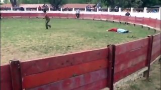Guy Messes With Bull And Gets Knocked Out