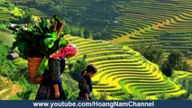tour sapa | du lịch sapa | Sapa Vietnam tours - 1tour.vn