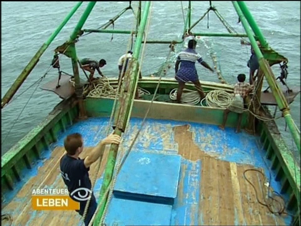 Exotenfisch aus Indien