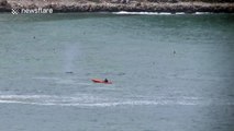 Kayaker and surfers have VERY close encounter with humpback whales in California