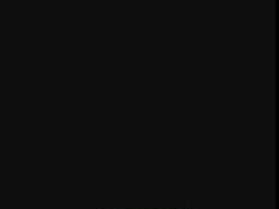 Hippo and Dog - Eating Spaghetti -)