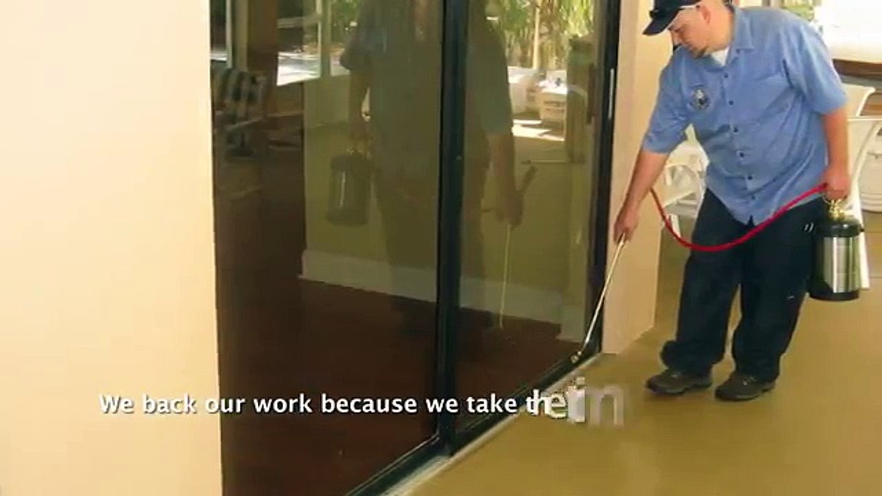 Organic & Natural Pest Control Solutions in Tampa Area