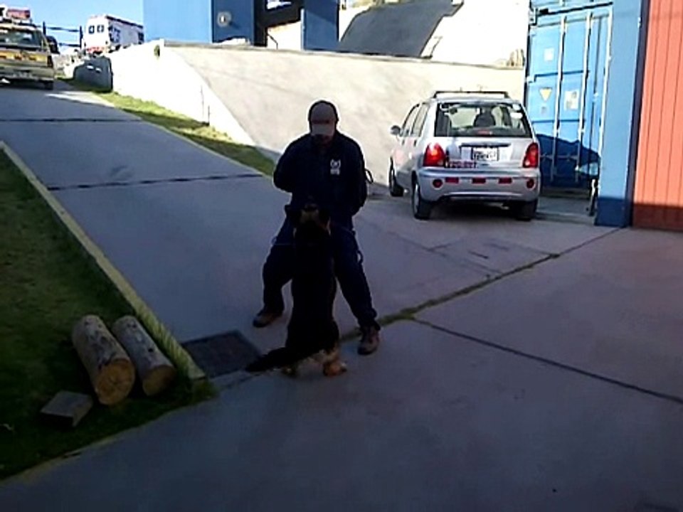 Practica 23 de octubre Daysi fluidez de ladrido