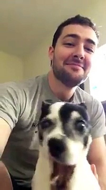 Ce chien a un éternuement tellement drôle