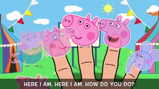 Peppa Pig | Peppa Pig Zoo Trip and Safari Wildlife Finger Family Song!ABC Song Bus Song New 2016