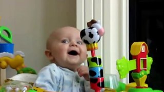 Babies Laughing Video 2016