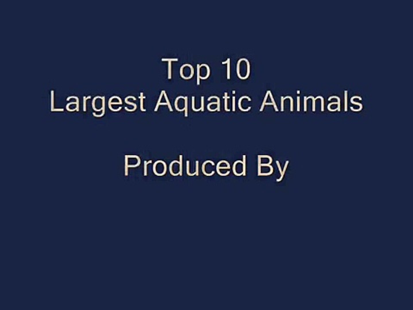 Top 10 Largest Aquatic Animals