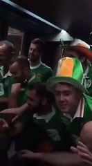 Irish fans sing lullabies to French baby on Bordeaux train