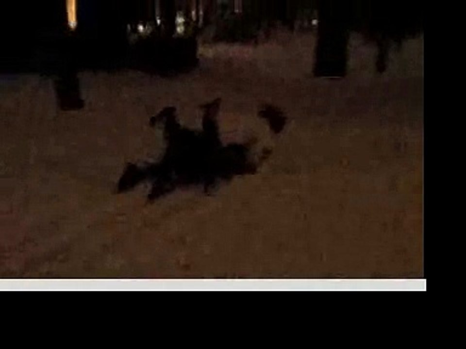 The Lost Snowfiles (January 29-30, 2010)