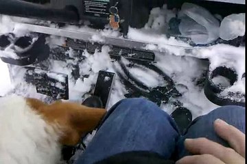 video-2010-01-30-14-25-00