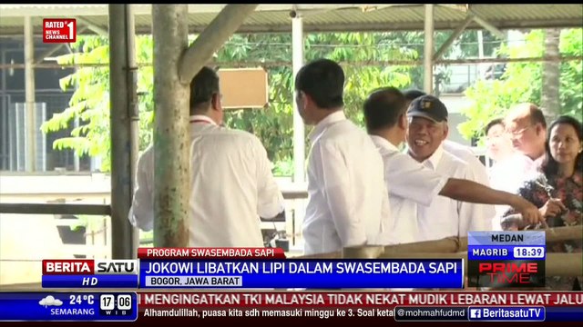 Jokowi Libatkan LIPI Swasembada Daging Sapi