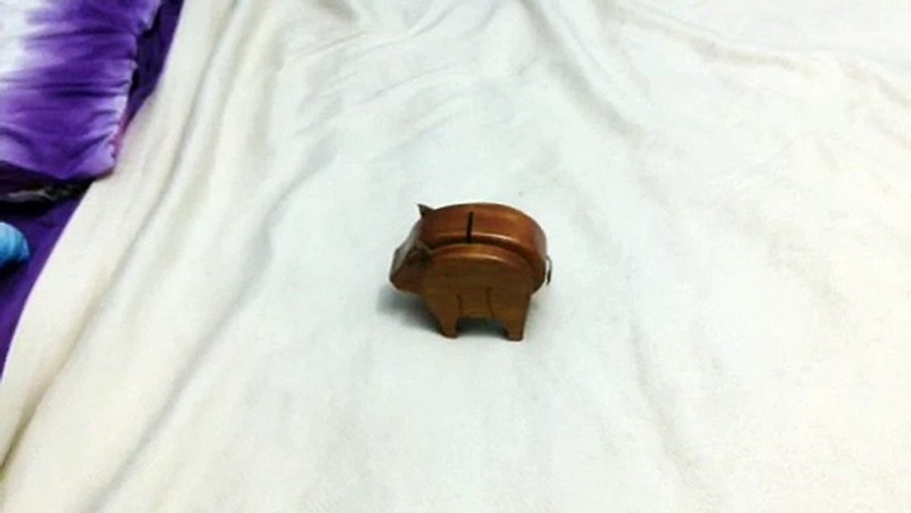 Wooden Pig Sings I Love You and Gets Grounded