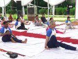 Employees of civil aviation ministry, AAI mark World Yoga Day