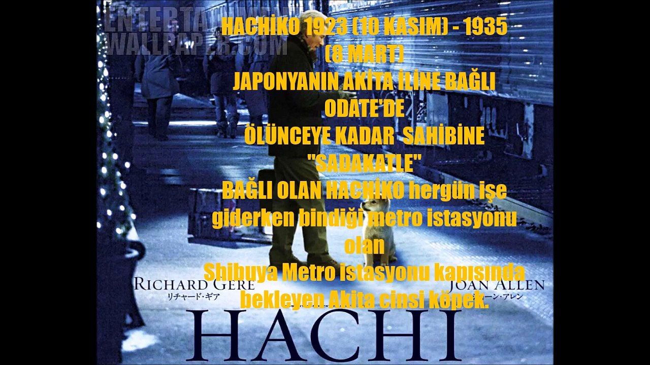 Hachiko'nunHikayesi!! [En sadakatli köpek]
