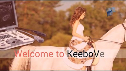Best Handheld Ultrasound For sale - Keebovet.com