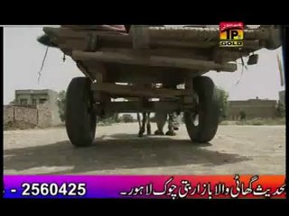 maslam19621@gmail.com