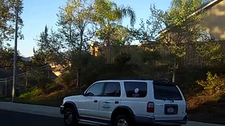 Temecula Tree and Landscape Service (Part 1 of 24)
