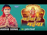 आजा आजा माई | Aaja Aaja Mai | Maiya Ho Maiya | Purshotam Priydarshi | Bhojpuri Devi Geet