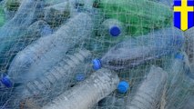 「プラスチックは、魚のジャンクフード」欧研究チームが指摘