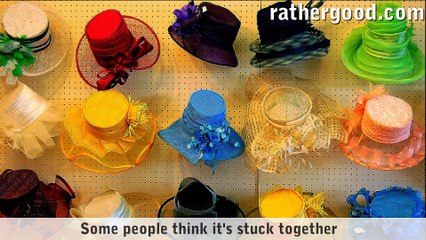 Musique culte : The Internet is made of Cats