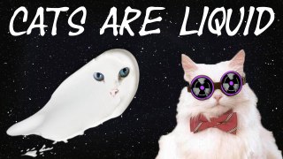 Cat science | CATS ARE LIQUID