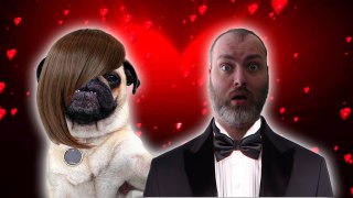 Pug of my dreams | HOT DATE