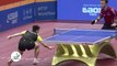 Le pongiste Fan Zhendong réalise un coup incroyable sous la table