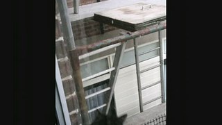 Guilty jumps from scaffolding at 15 feet high