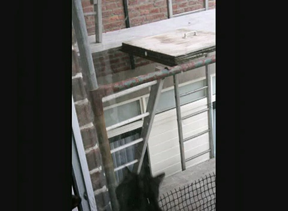 Guilty jumps from scaffolding at 15 feet high