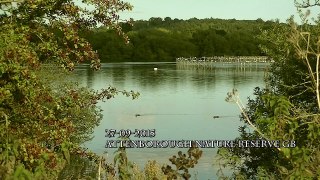 27-09-2015 Attenborough Nature Reserve