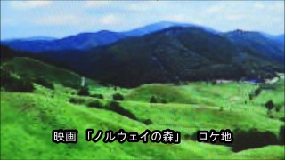 25 砥峰高原のススキ