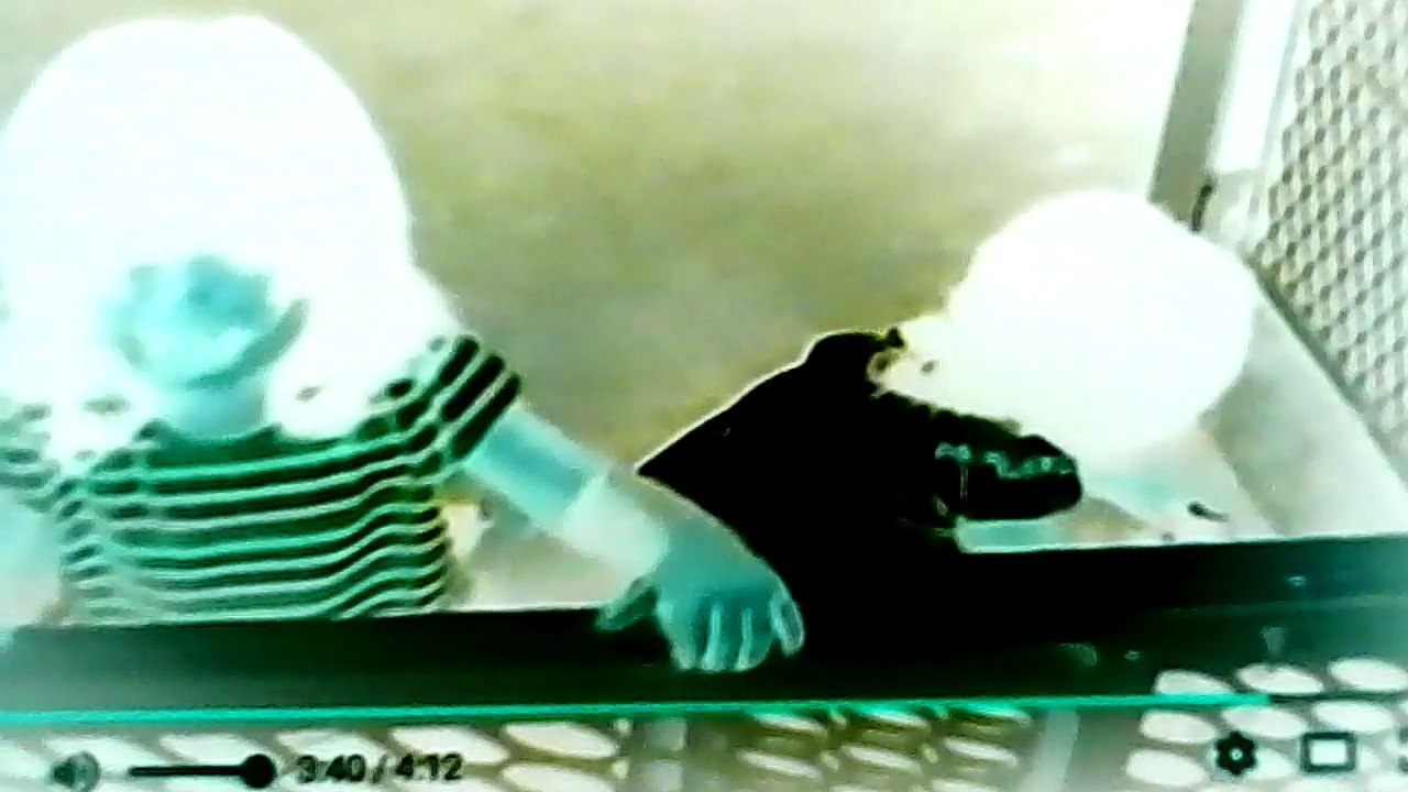 Michy Don't Cry Song