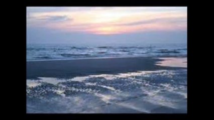 Won't forget these days