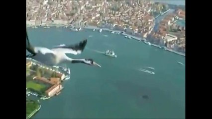 Des racines et des ailes