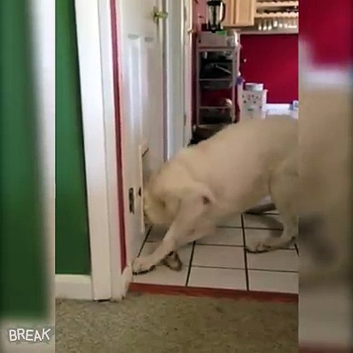 55555