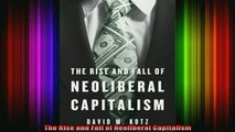 READ book  The Rise and Fall of Neoliberal Capitalism Full Free