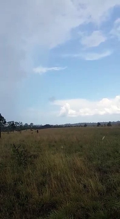 FUSINA inhabilita área clandestina de aterrizaje en Gracias a Dios