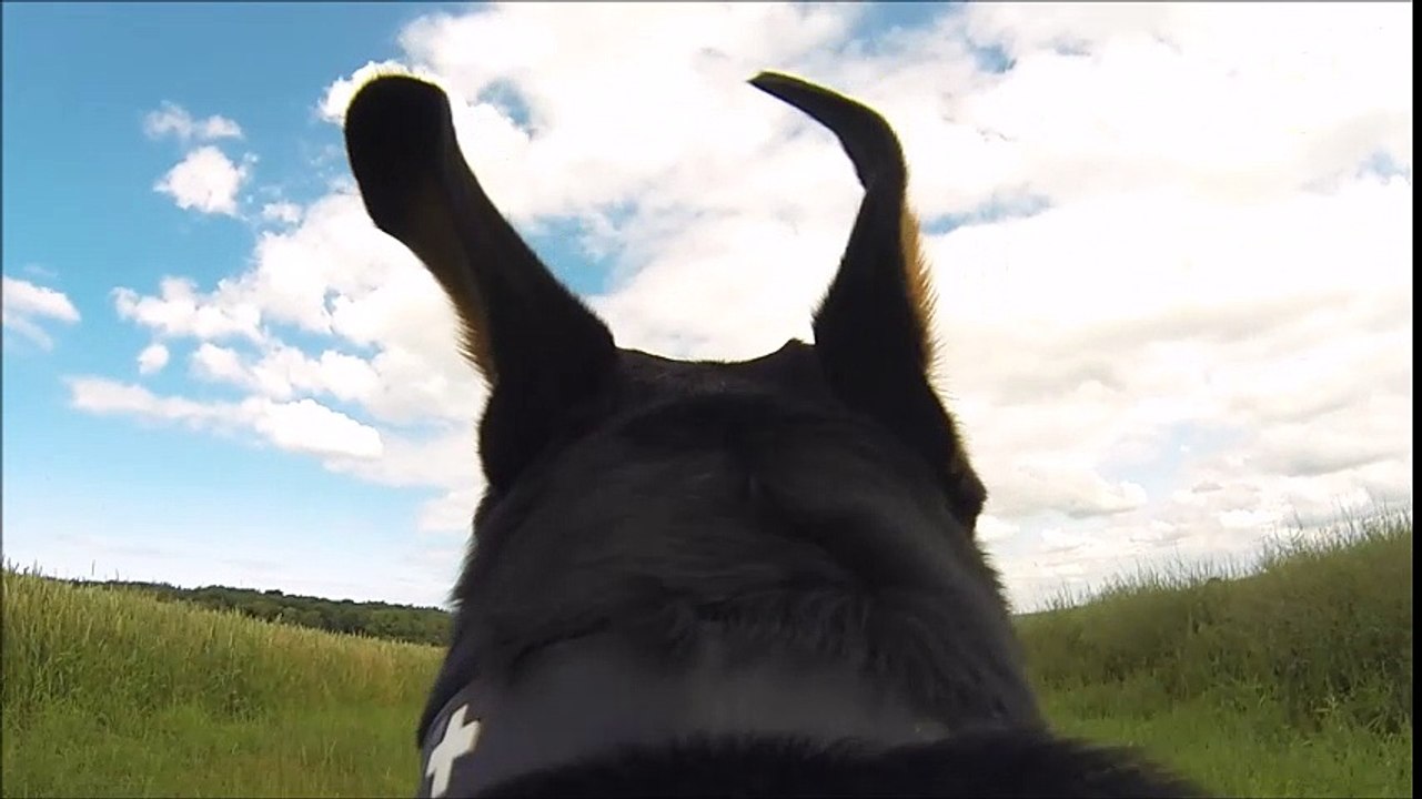 Woohooo, ich kann fliiiiiiiegeeeeeeen!