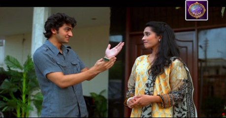 Baba Ki Rani Episode 15 on Ary Zindagi in High Quality 21st June 2016